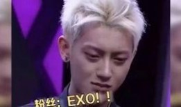 爆料勋鹿的故事视频播放,揭秘视频中的甜蜜瞬间