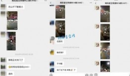 八村最新爆料消息视频大全,揭秘幕后真相与精彩瞬间”