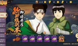 忍者副本爆料大全最新版