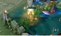 原神水龙王爆料视频,揭秘神秘水域背后的秘密与惊喜