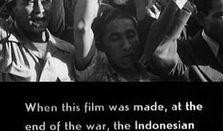 印尼当地人爆料视频最新,神秘视频揭示惊人真相！