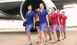 空姐爆料米兜视频大全在线观看,米兜视频大全在线观看背后的真相