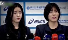 最新爆料电视剧排行榜