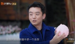 陆毅爆料郑恺视频播放,陆毅揭露郑恺幕后视频播放真相
