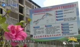 玉林爆料大全视频,揭秘视频背后的真实故事