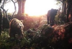 奇幻的森林在线观看,探险之旅，揭秘神秘世界