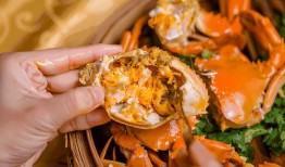 苏州新闻蟹黄爆料事件,一场美食与真相的较量