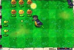 火影植物人爆料视频大全,揭秘忍者世界的隐秘真相