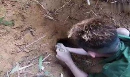 洞 在线观看,揭秘神秘洞穴的在线探险之旅