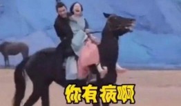 爆料霸凌博主视频,博主视频揭露黑暗真相