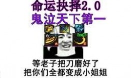 龙猫爆料宝哥视频大全,揭秘宝哥精彩瞬间