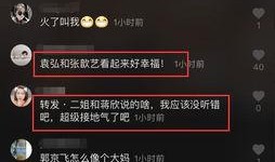 好友爆料张歆艺视频,好友爆料引发热议