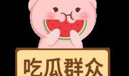 免费下载吃瓜群众,揭秘热门瓜子的秘密