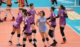 山东队女球迷爆料视频网,山东队女球迷爆料视频引发热议