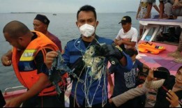 印尼当地人爆料视频最新,神秘视频揭示惊人真相！