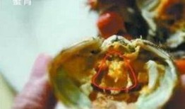 苏州新闻蟹黄爆料事件,一场美食与真相的较量