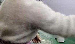 工厂小姐姐爆料视频大全,揭秘工厂生活幕后故事