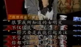 导演制片人娱乐圈爆料,揭秘幕后真相与幕后黑手