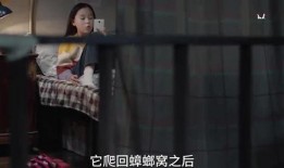 漂亮姐姐爆料小孩视频,漂亮姐姐曝光萌娃视频，萌态可掬萌翻网友