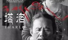 塔洛电影在线观看,穿越时空的影像之旅