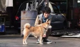 巴哥赤犬爆料视频播放大全,揭秘娱乐圈幕后真相