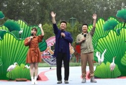 老江田最新爆料视频,揭秘行业黑幕，独家视频曝光惊人内幕