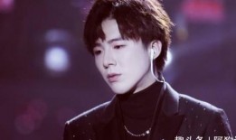 娱乐吃瓜酱刘宇宁,娱乐吃瓜界的“瓜王”