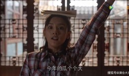 娱乐圈的吃瓜后果