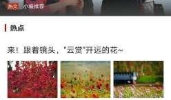 开远新闻爆料,最新爆料揭示城市动态