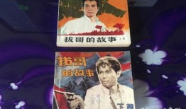 拔哥的故事在线观看,传奇人生，砥砺前行