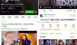 平顶山八卦圈爆料事件视频,揭秘背后惊人真相