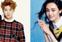 圈内人爆料鹿晗和鹿晗,揭秘明星与AI的跨界合作