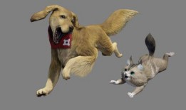 兽境猎犬爆料视频大全,揭秘神秘生物世界