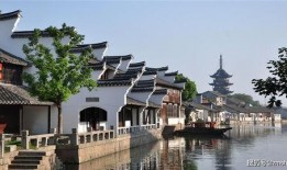 吴江震泽最新闻爆料电话,揭秘吴江震泽新闻热线