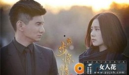 最新爆料电视剧排行榜