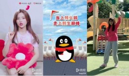 正能量挑战爆料视频完整版,揭秘视频背后的感人故事与励志瞬间