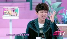 何炅爆料化妆视频,揭秘明星日常护肤秘诀