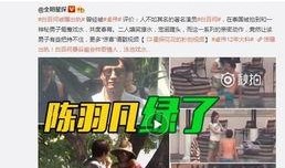 娱乐爆料视频一天发几条,揭秘明星幕后，揭秘一天几条爆料视频