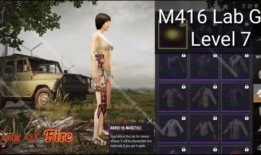 新款m4皮肤爆料视频下载,炫酷视觉盛宴，揭秘神秘爆料视频