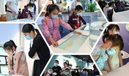 开心乐在线观看,欢乐时光，笑点满满