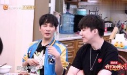 刘宇宁恋情爆料视频,甜蜜互动引粉丝热议