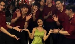 五嫂被害爆料视频大全,真相与疑云交织