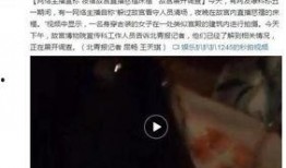 女主播爆料泰国视频播放,泰国视频播放背后的惊人真相