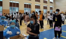 记忆主技能爆料最新消息,揭秘神秘技能背后的秘密与未来展望