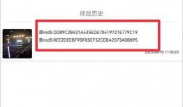 影视爆料素材视频下载