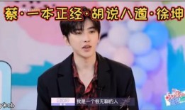 徐坤最新爆料视频,揭秘娱乐圈幕后真相