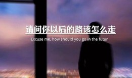 情感语录爆料视频素材