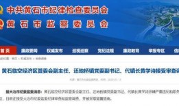 大冶爆料最新消息,最新动态揭秘，热点事件追踪