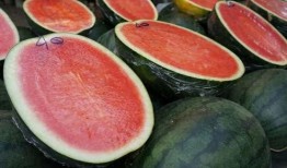 以前网红吃瓜事件是什么,网红吃瓜事件背后的真相与反思