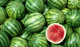 网红吃瓜8秒,揭秘娱乐圈幕后真相